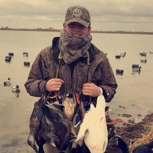 Meet your Posher, Maxwell